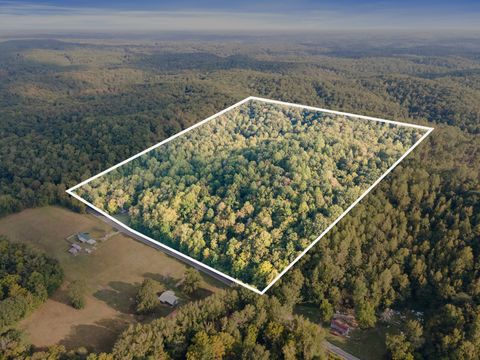 Photo of 16281 Highway 438 W, Linden, TN 37096 (MLS # 2993466)
