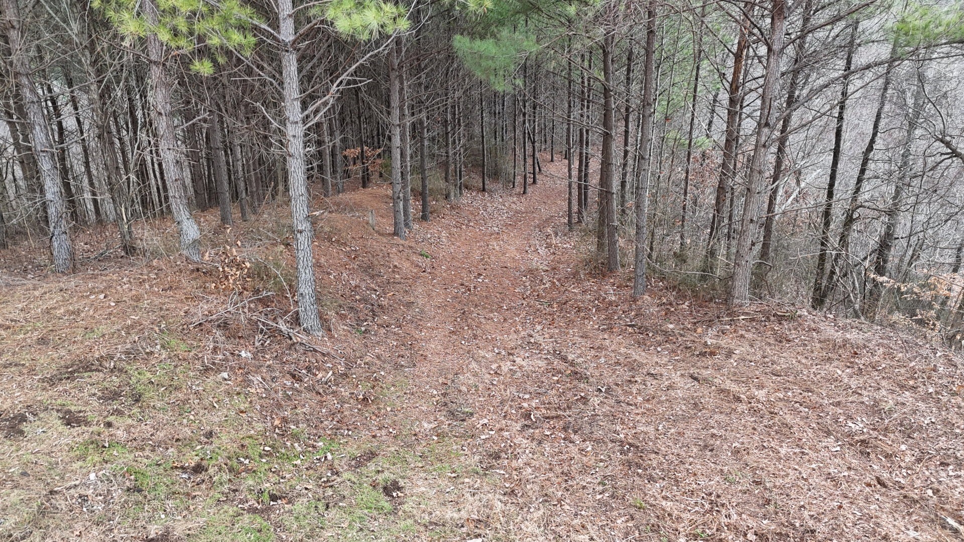 2932 Old Hohenwald Rd