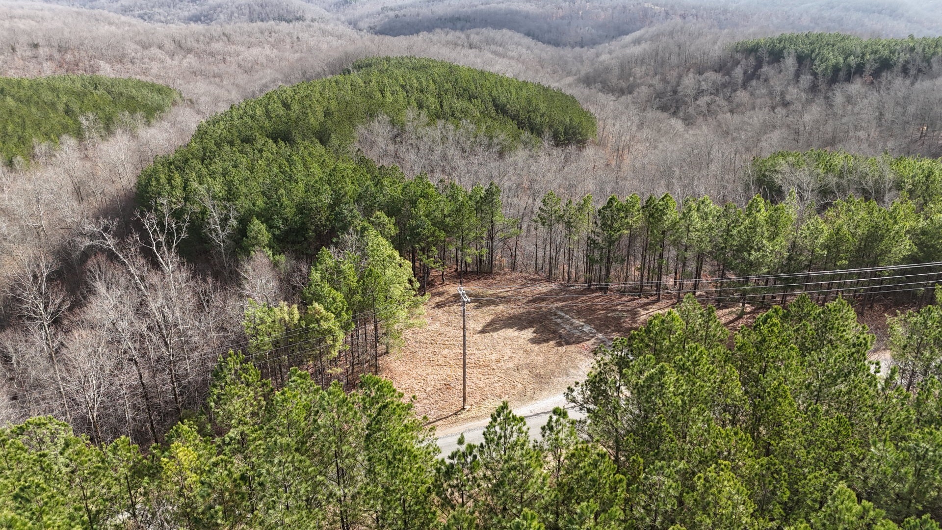 2932 Old Hohenwald Rd