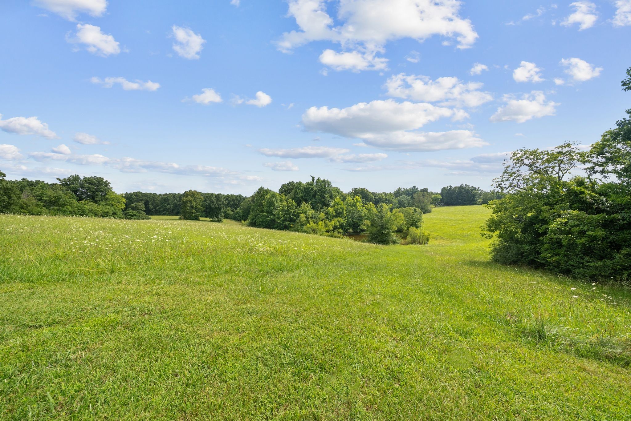 5744 Green Chapel Rd, Franklin TN 37064 0-bed lot, photo 5 of 30