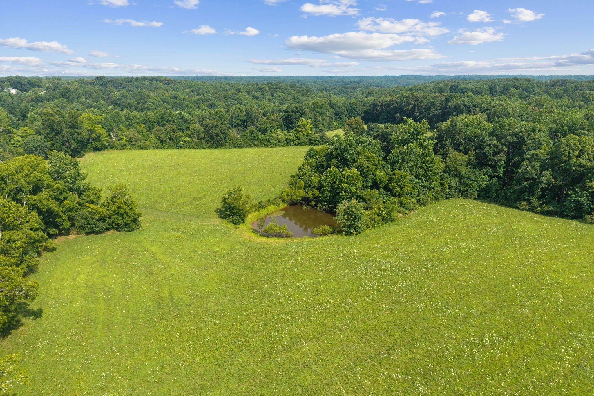 5744 Green Chapel Rd, Franklin TN 37064 0-bed lot, photo 3 of 30