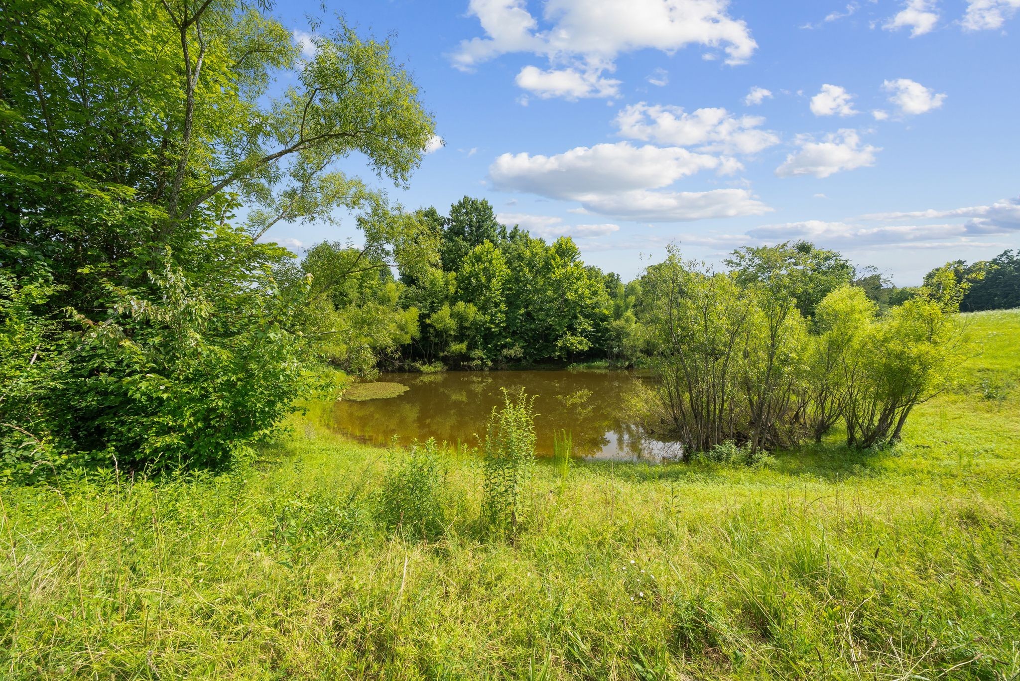 5744 Green Chapel Rd, Franklin TN 37064 0-bed lot, photo 4 of 30