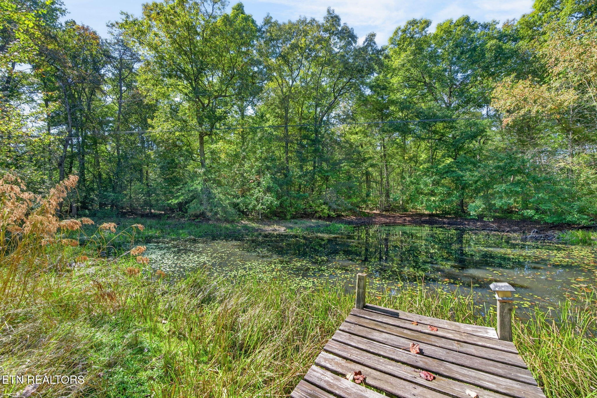 154 Old Kentucky Stock Rd