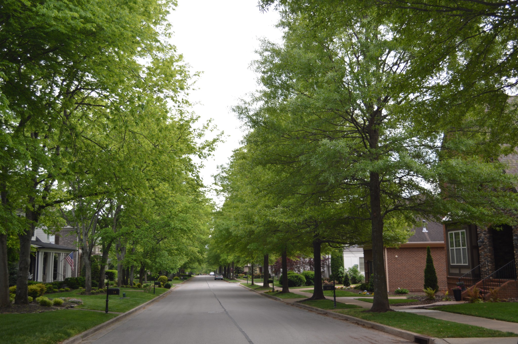 638 Band Drive