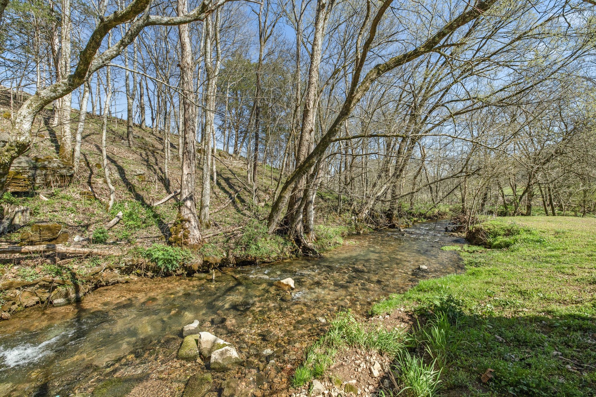 2203 Stones River Rd