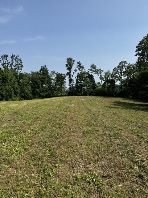 25 Annie Hollow Road Westmoreland TN 37186