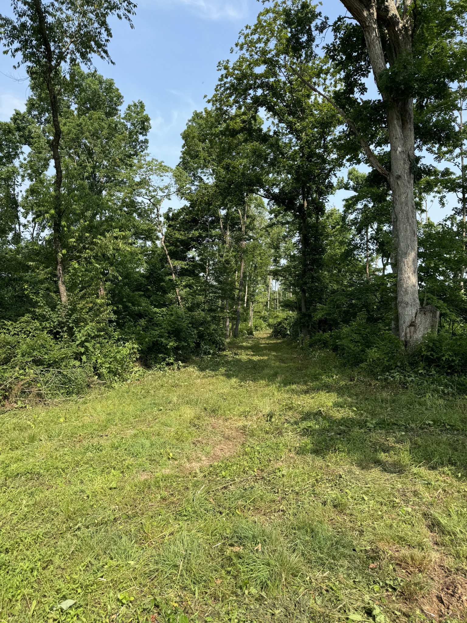 25 Annie Hollow Road