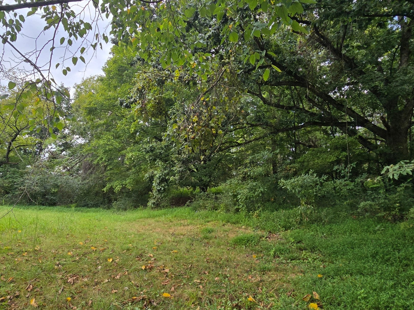 119 Old Dobbins Pike