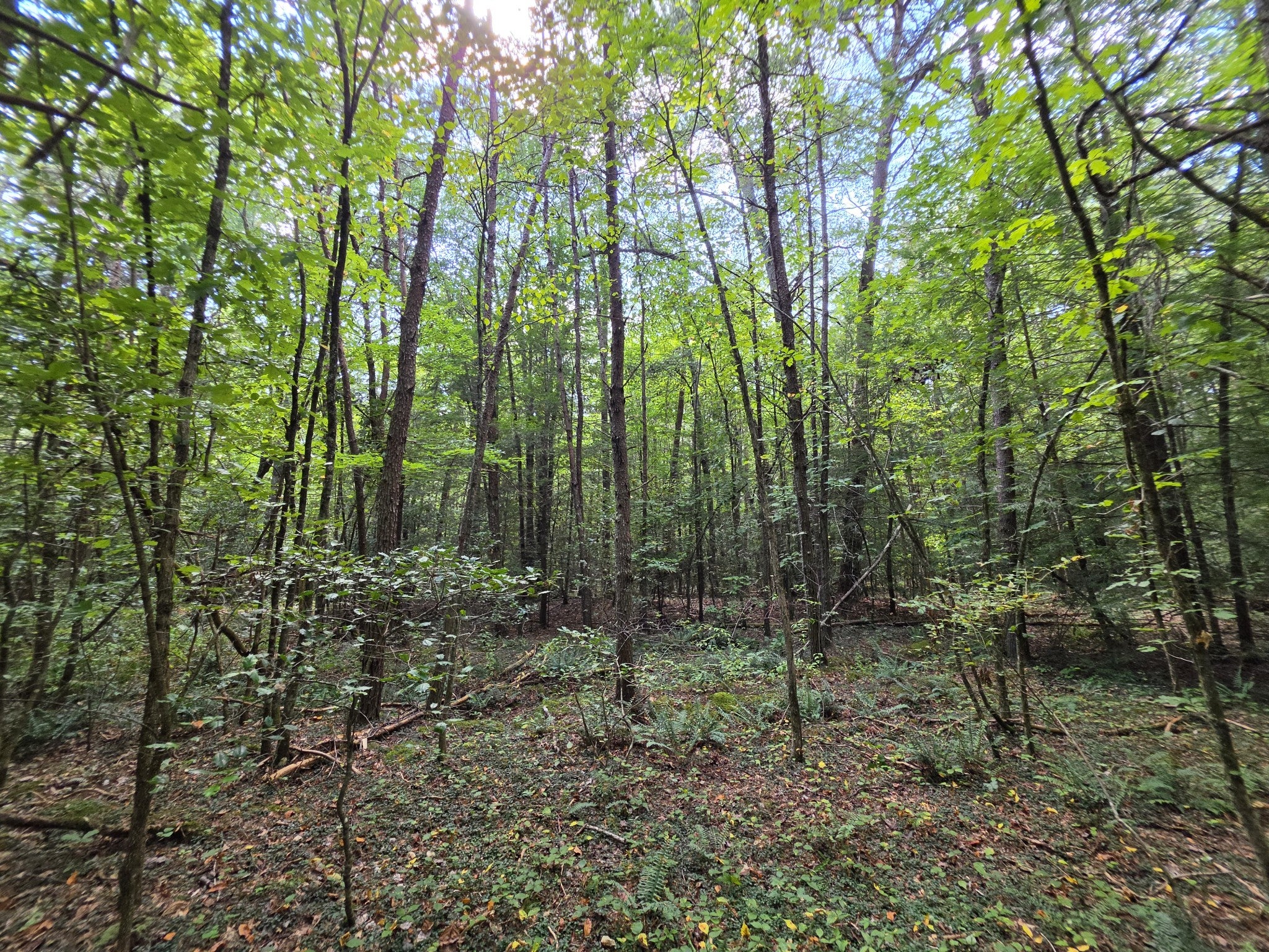 0 Northcutts Cove Road
