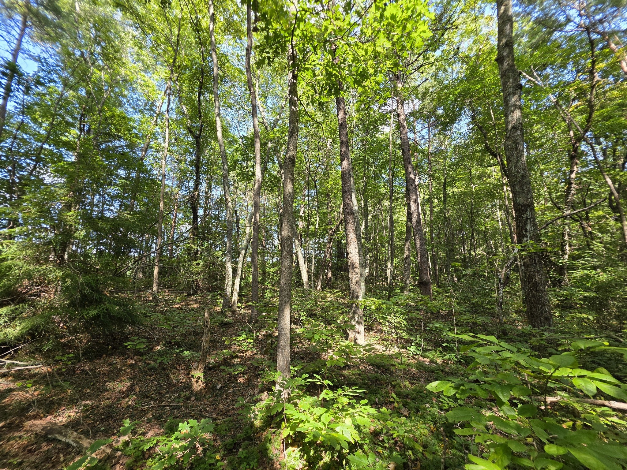 0 Northcutts Cove Road