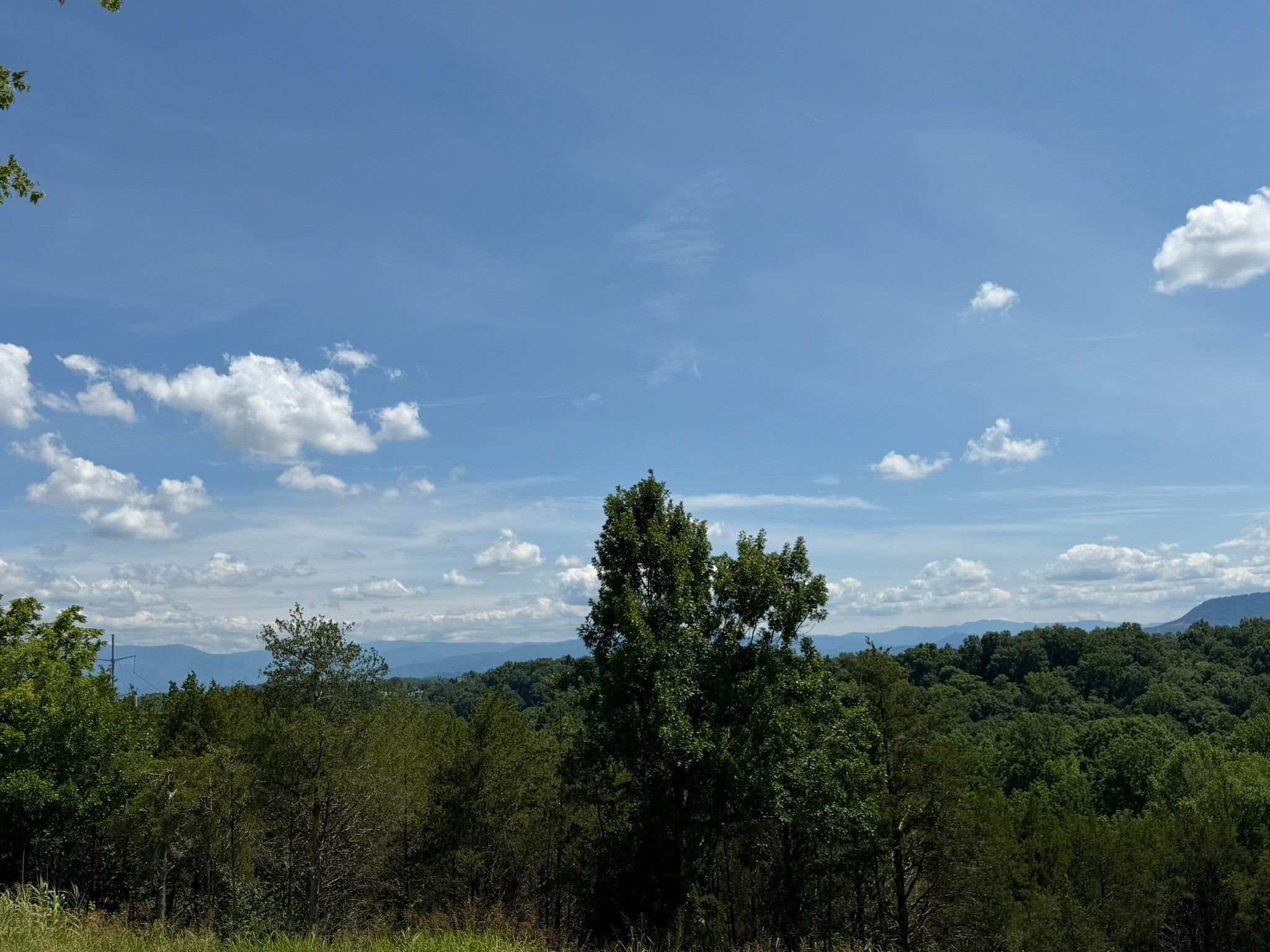 135 Red Cedar Ridge Road
