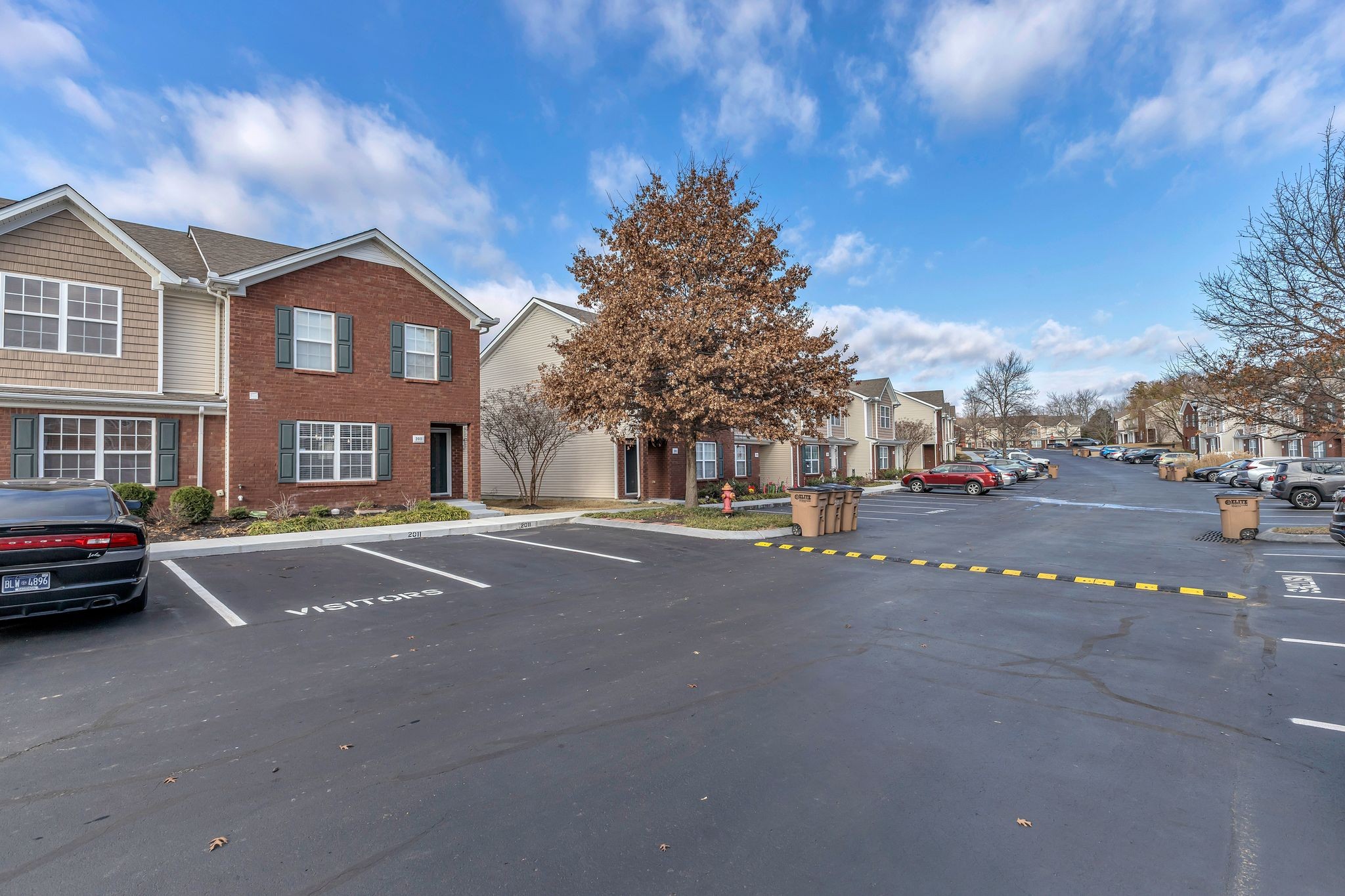 2011 Shaylin Loop 2011