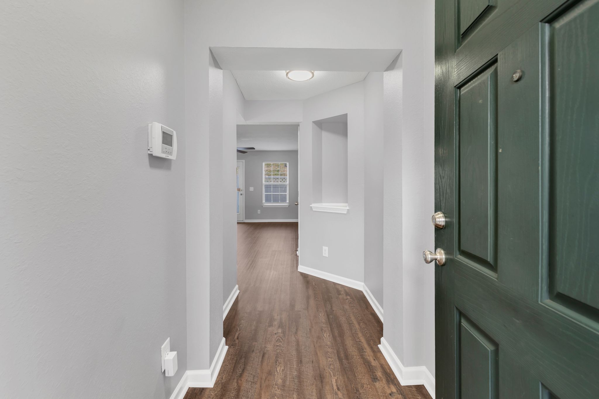 2011 Shaylin Loop 2011