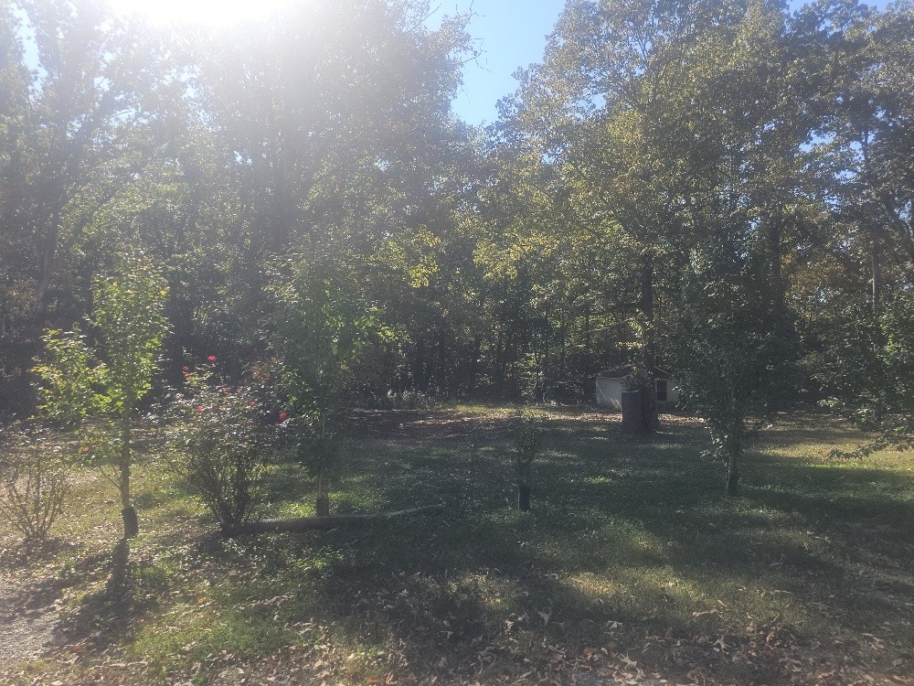 2753 Horn Tavern Road