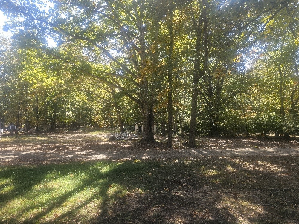 2753 Horn Tavern Road
