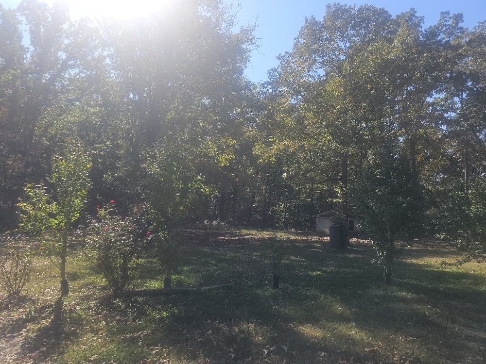 2753 Horn Tavern Road