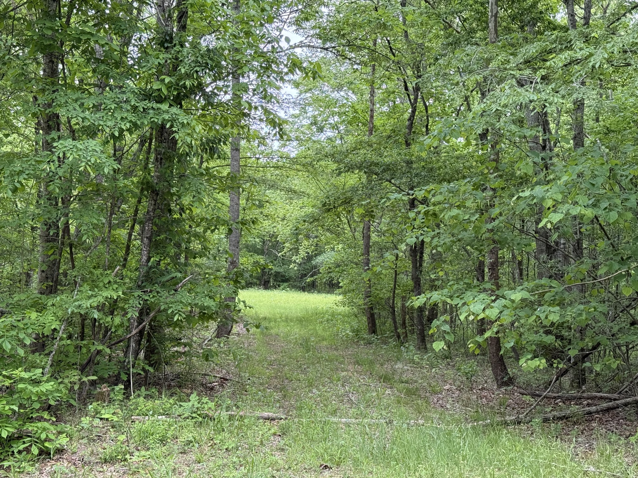 0 Leonard Jackson Rd