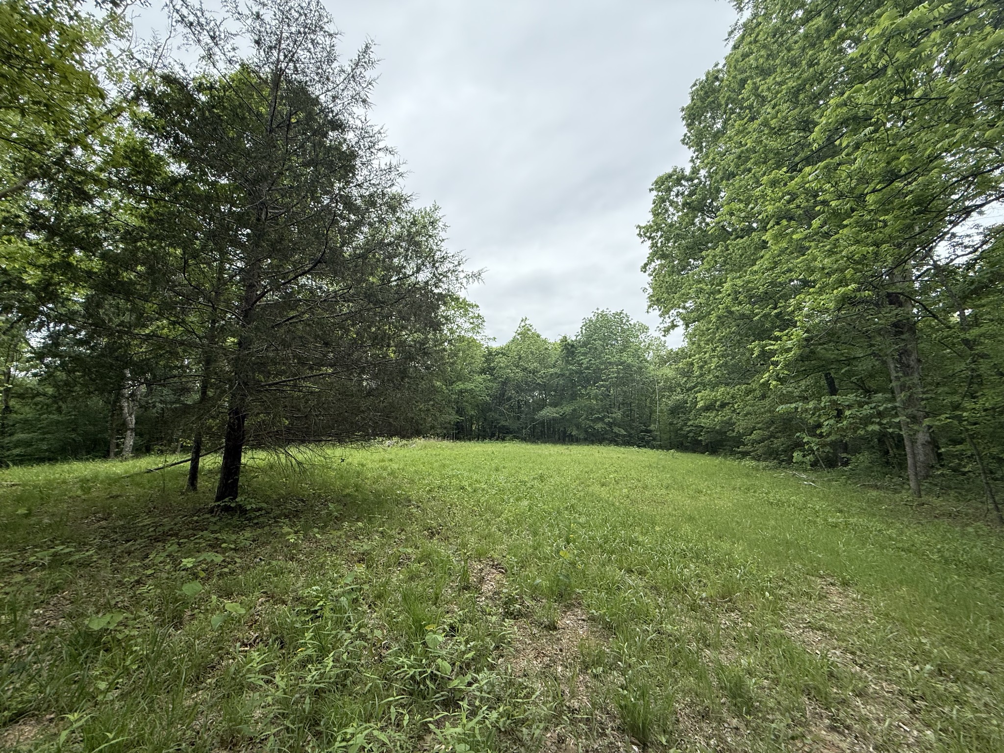 0 Leonard Jackson Rd