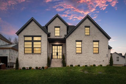 5159 High Park Hill Drive Arrington TN 37014