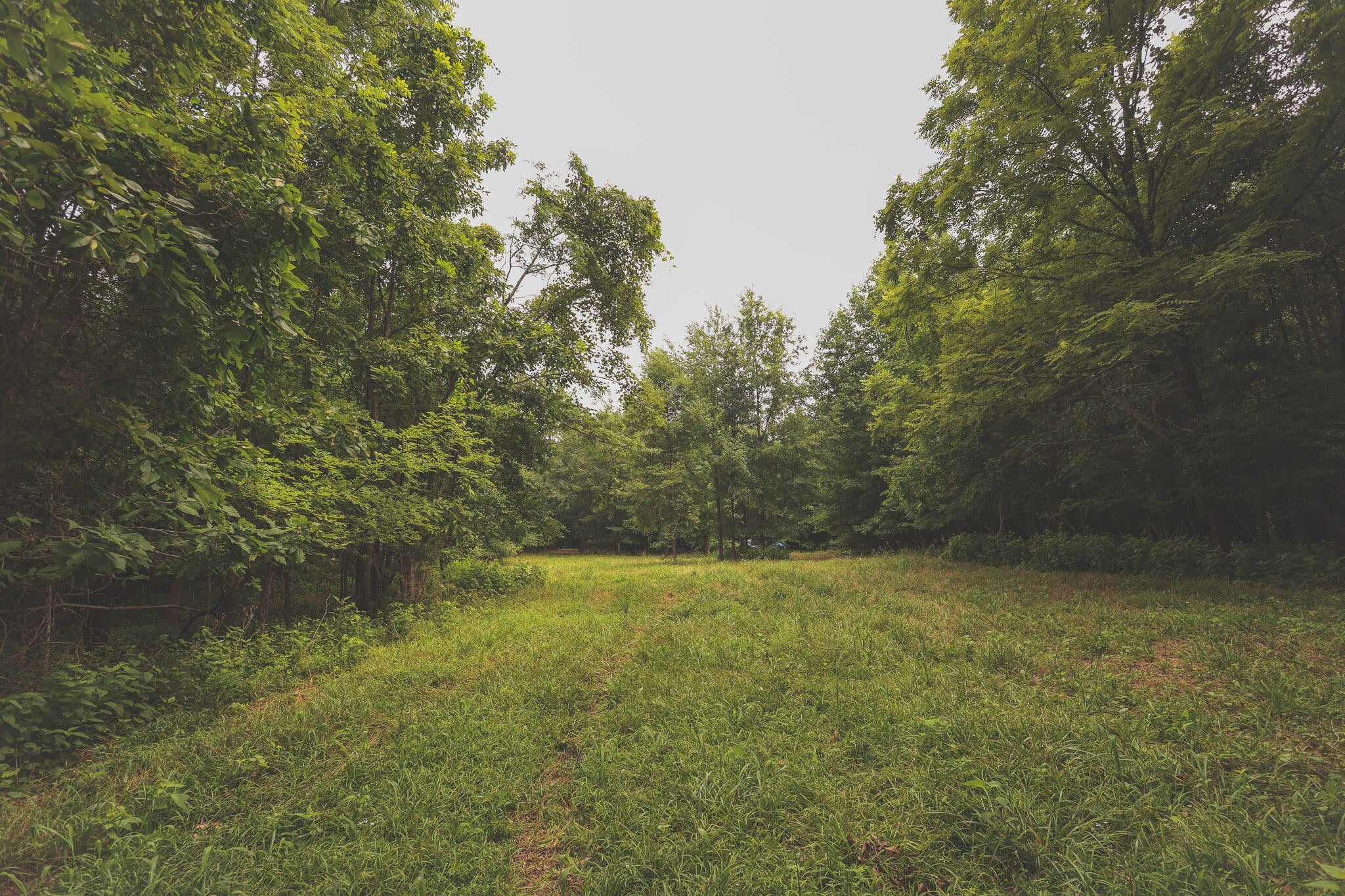 0 Isbell Lane