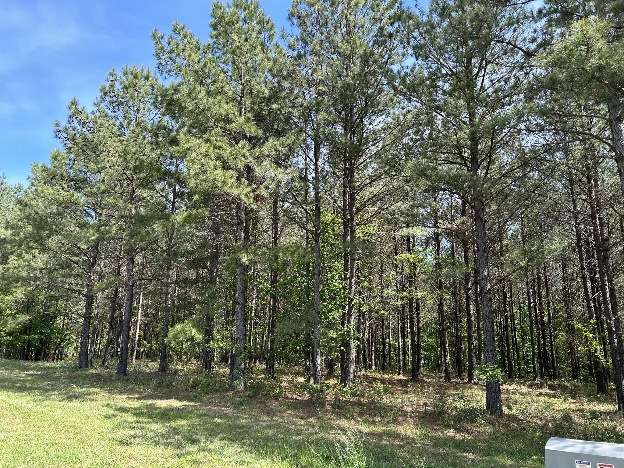 250 Bear Trace Drive
