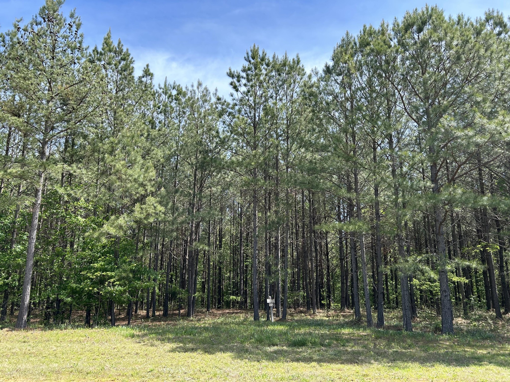 250 Bear Trace Drive