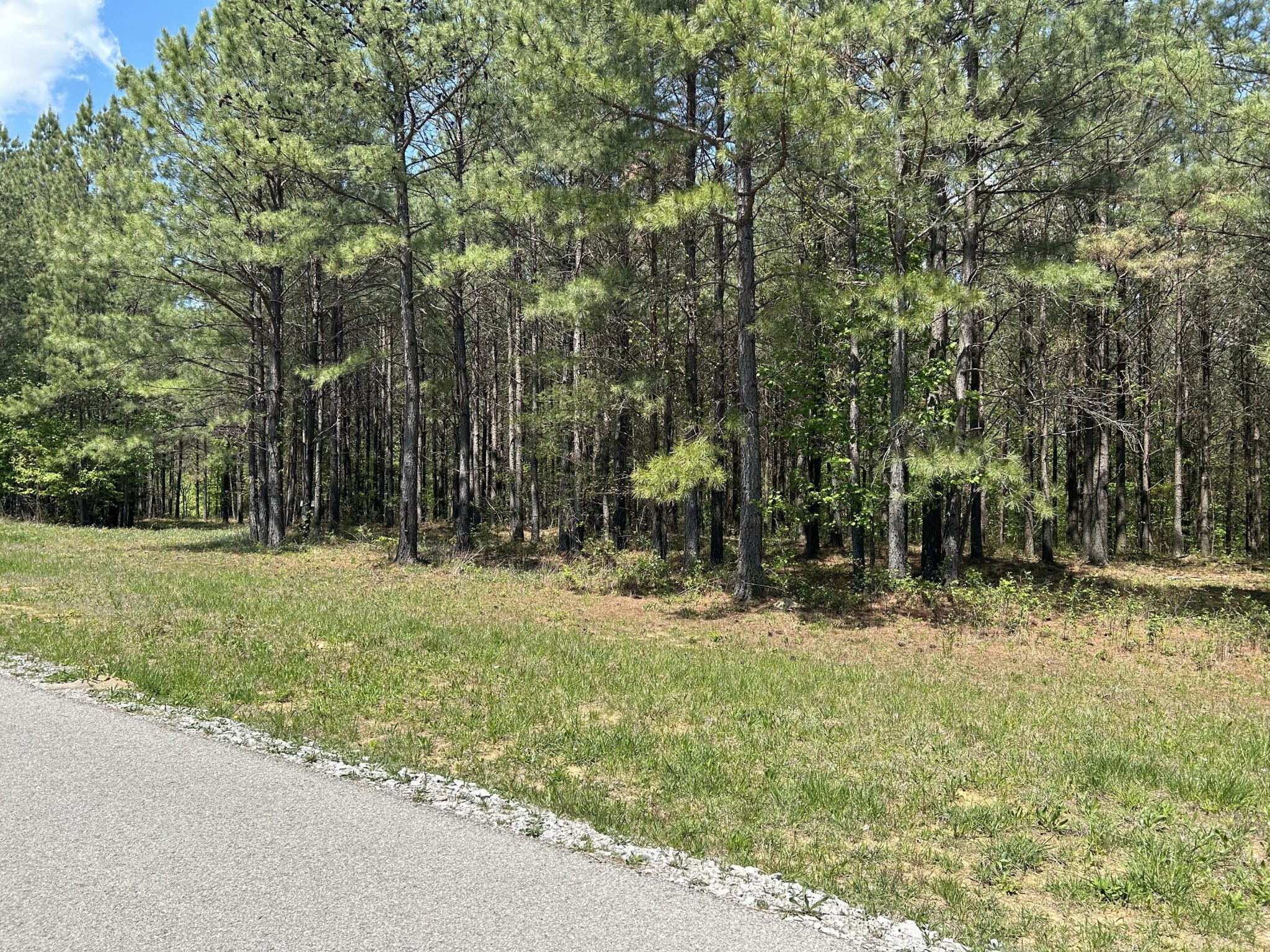 250 Bear Trace Drive