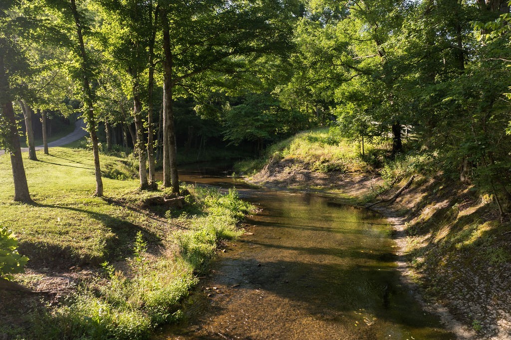 0 Shoals Branch Rd