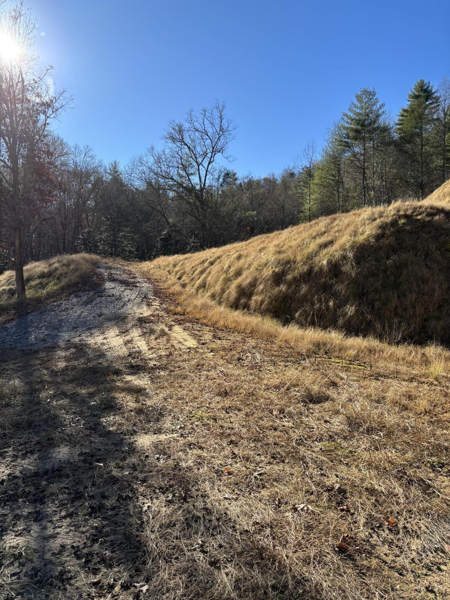 476 Appalachia Dam Road