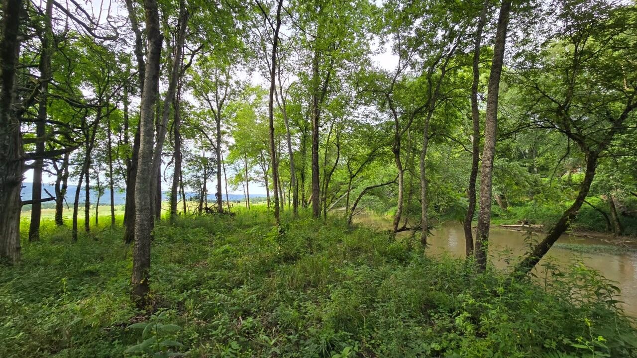 123 River Ridge Dr