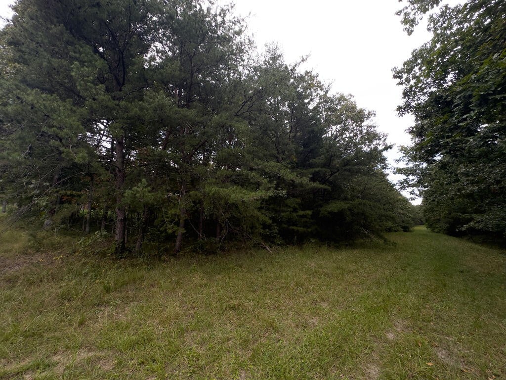 217 Westchester Dr