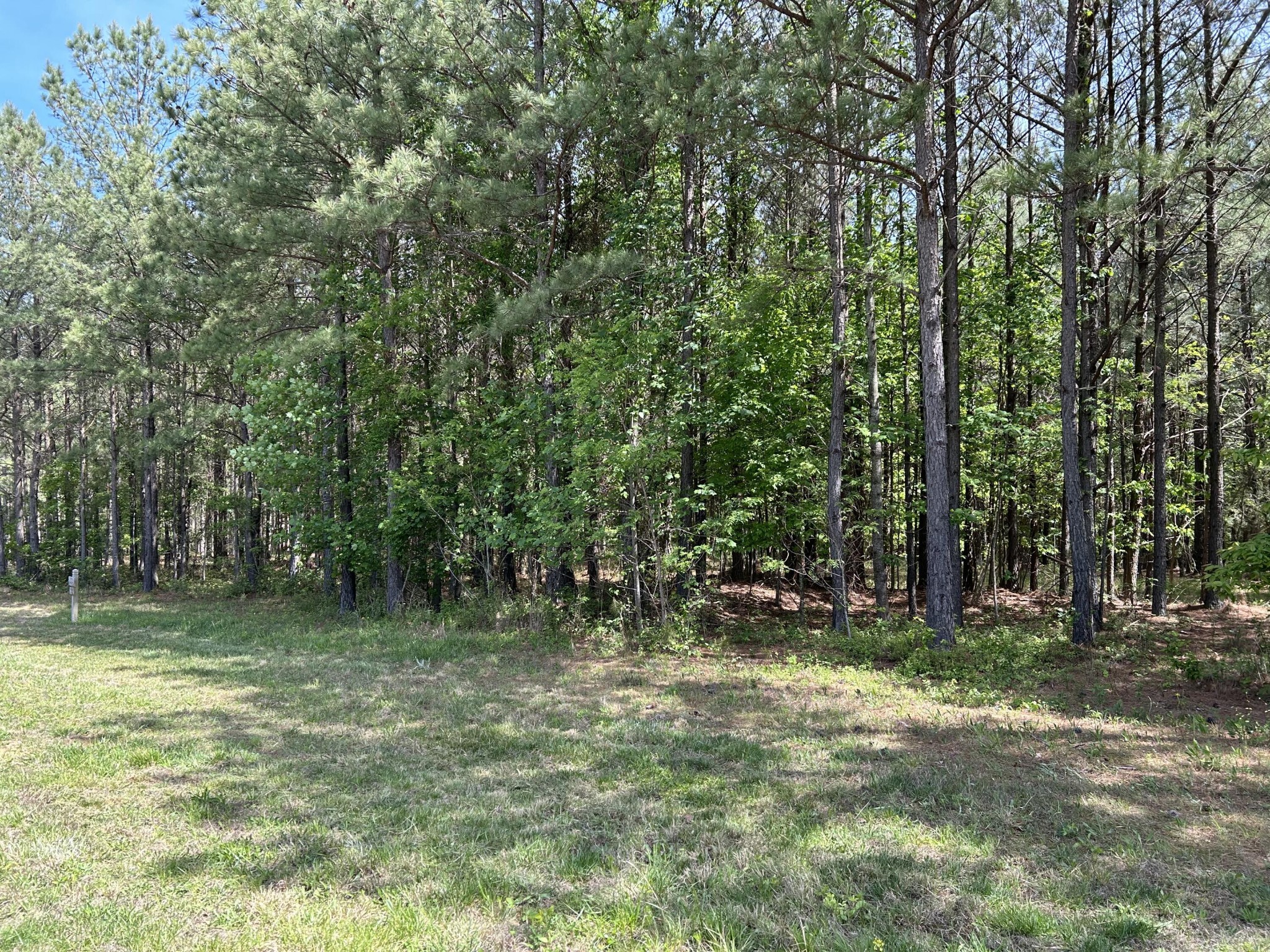 290 Bear Trace Drive