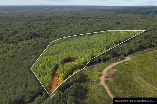 EDEN FARM RD, CAMDEN, TN 38320 - Image fca67c8c6f1d4cd4cd9b5c48b27411f2/1909271705
