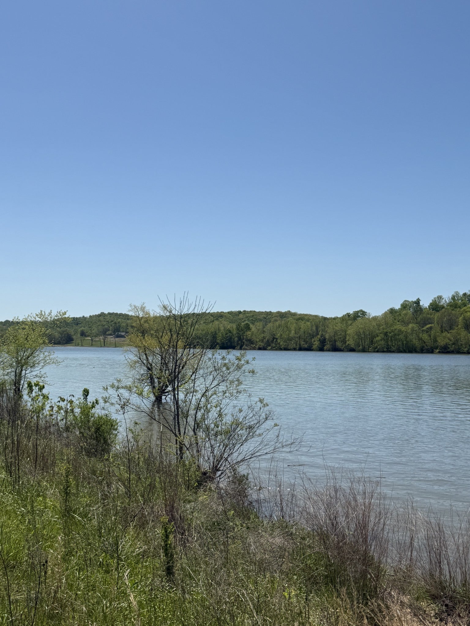 941 Hardin Bottom River Road