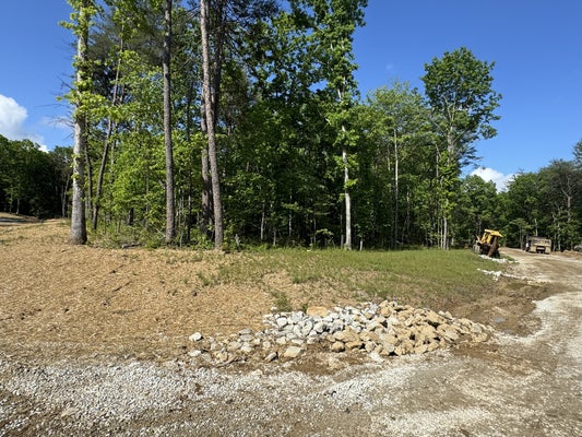 0 WOODLY BRANCH RD, MONTEAGLE, TN 37356 - Image fcb85a8c0b3c62cfafcc58e7fccfb2e0/841770720