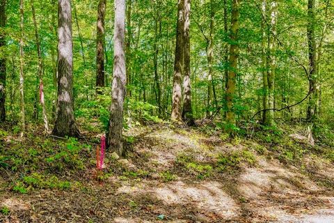 0 Bolestown Loop Lot 3 Alpine TN 38543