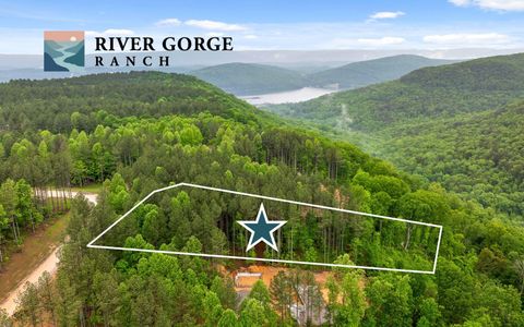 1060 Birds Eye Way Guild TN 37340