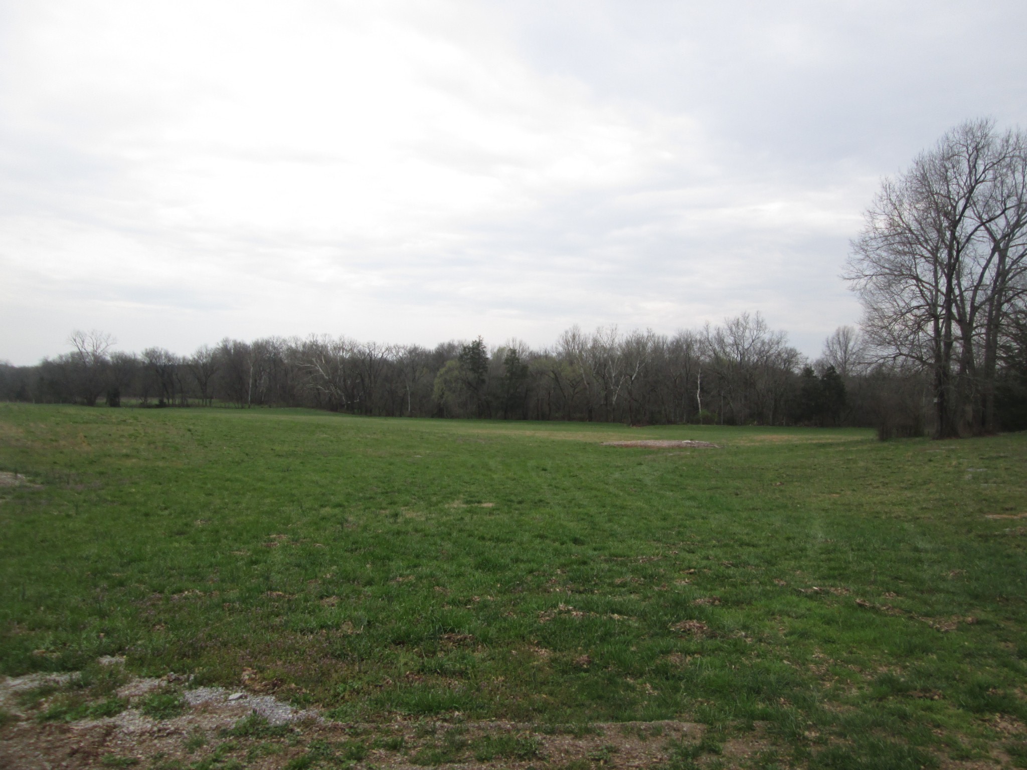 1 Bond Rd