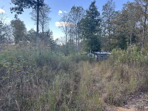 769 Preston Baggett Rd Cumberland City TN 37050