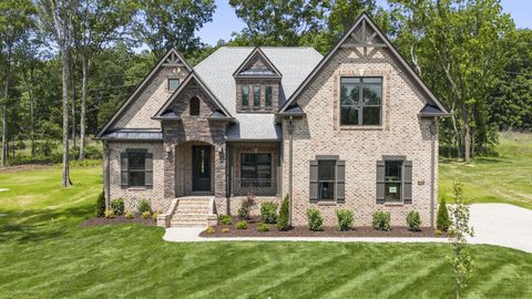 4002 Mandrake Pl #163 Lebanon TN 37087