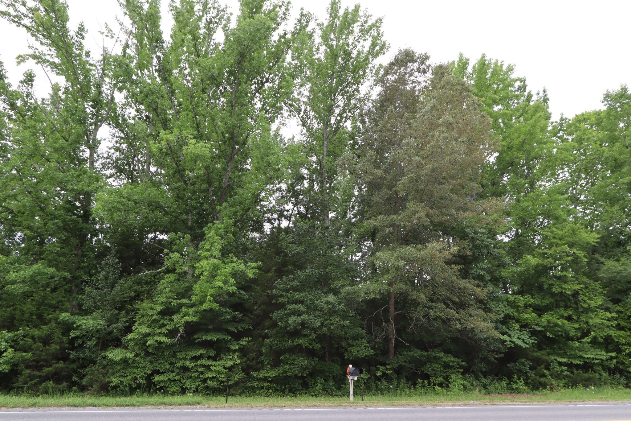 1183 Highway 96 N