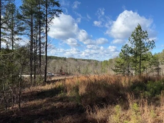 ADDRESS PRIVATE, GUILD, TN 37340 - Image fd52e7bfe33d8db9a3f1f48ee76e103a/145136337