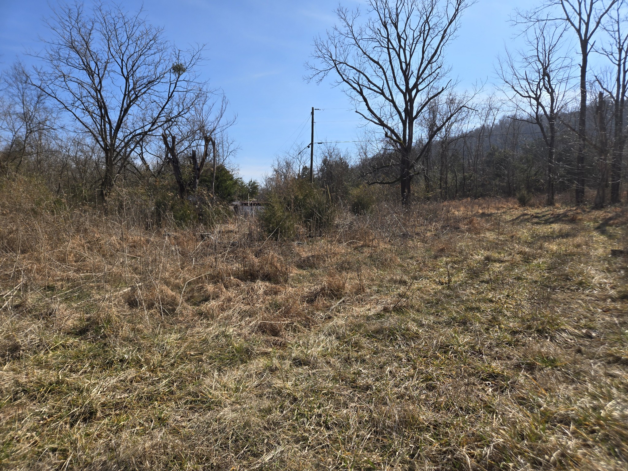 3434 Fosterville Short Creek Rd