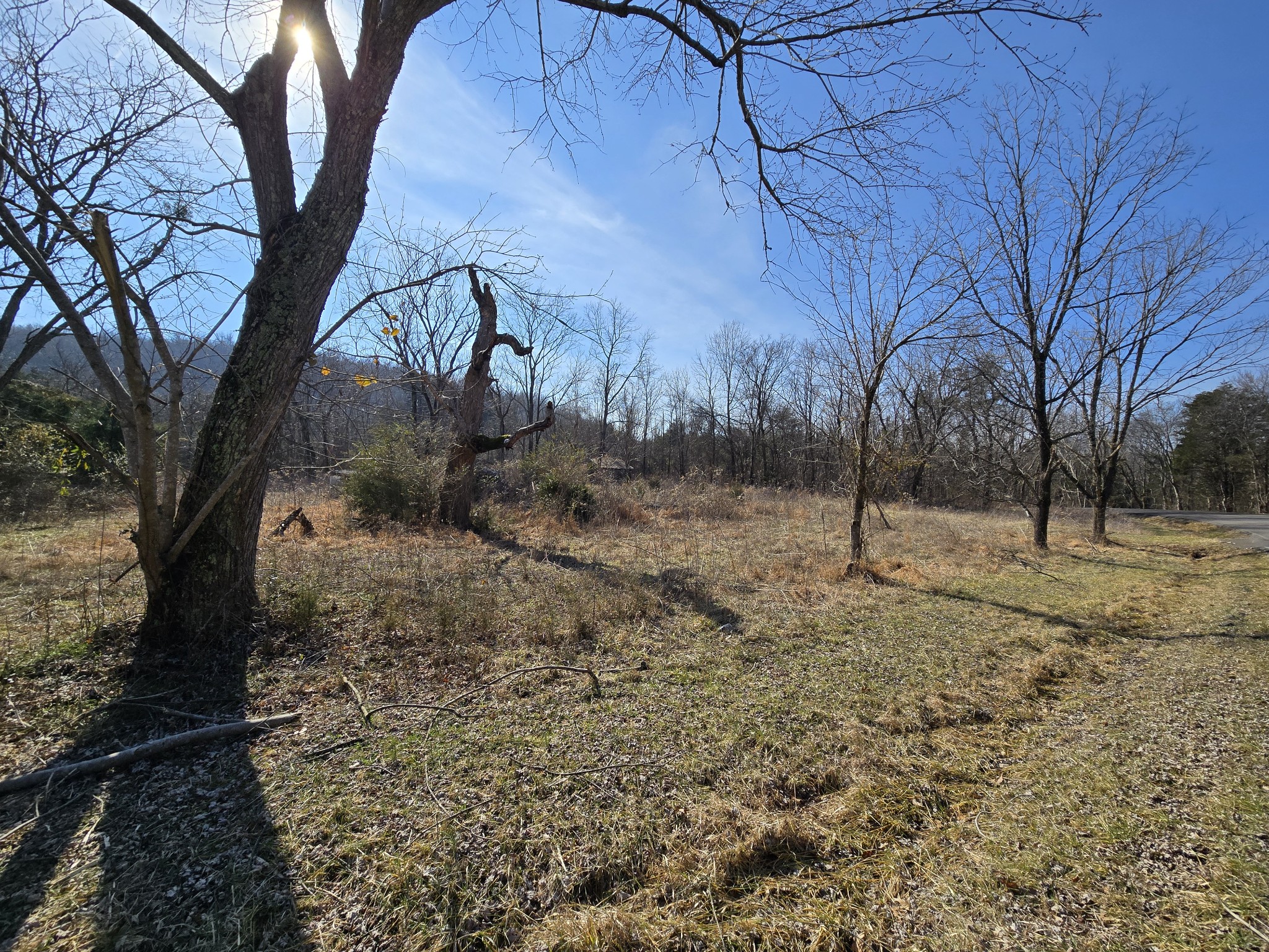 3434 Fosterville Short Creek Rd