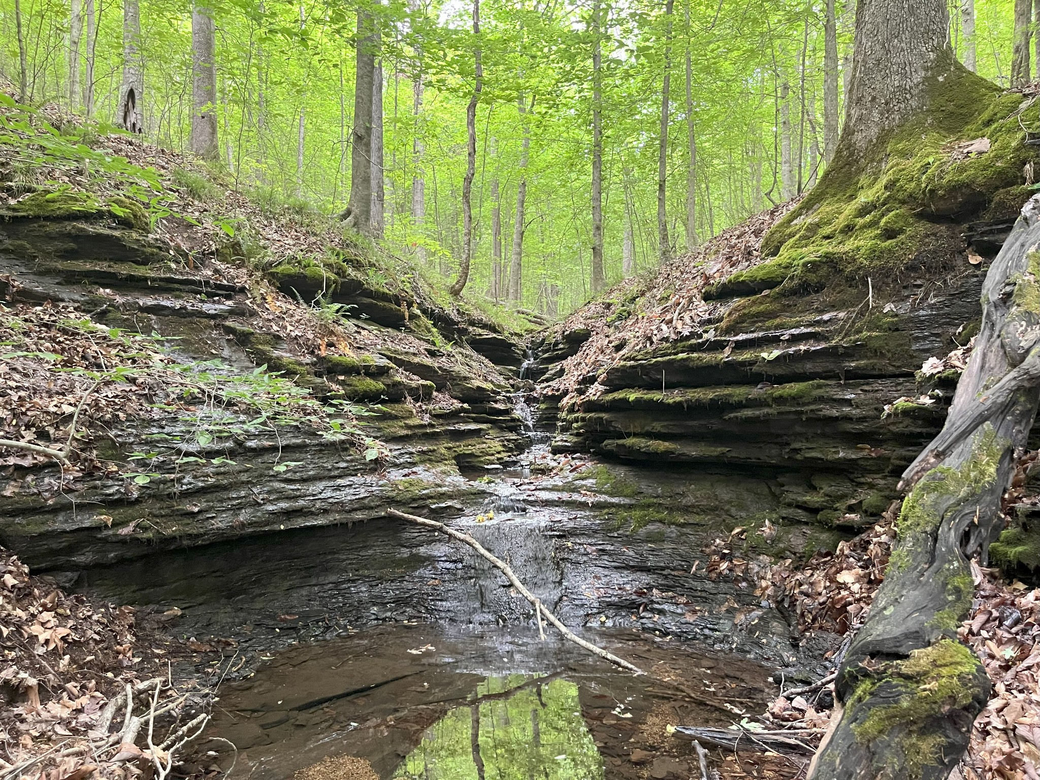 0 Treadwell Prong Rd