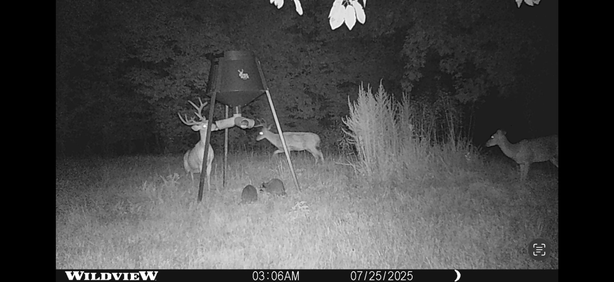 0 Treadwell Prong Rd