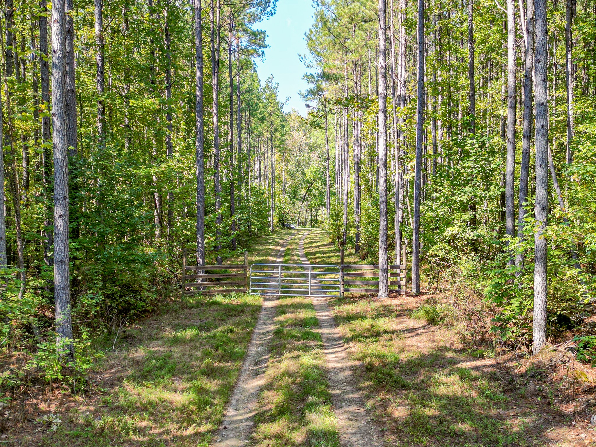 0 Treadwell Prong Rd