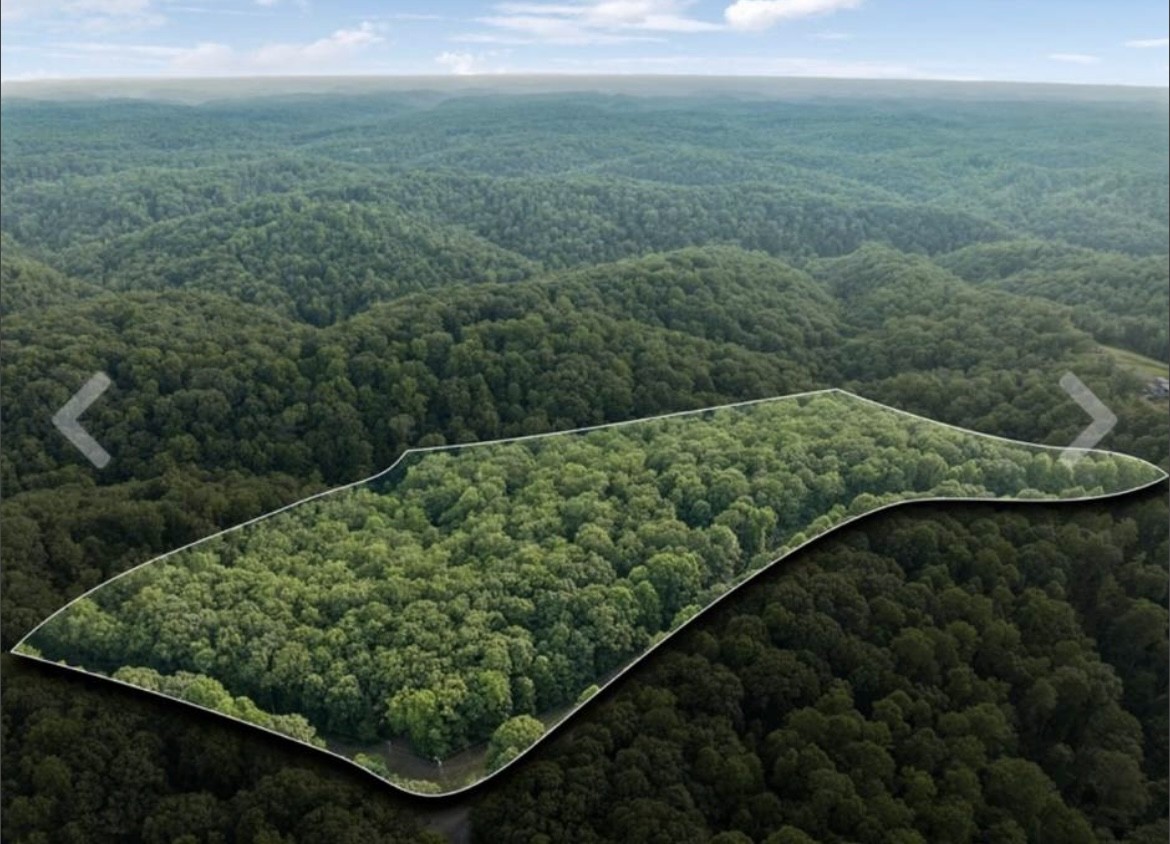 1011 Frontier Acres Dr