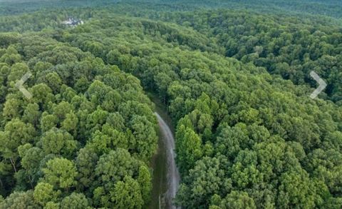 1011 Frontier Acres Dr Pegram TN 37143