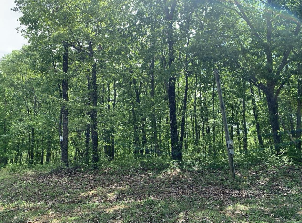 1011 Frontier Acres Dr